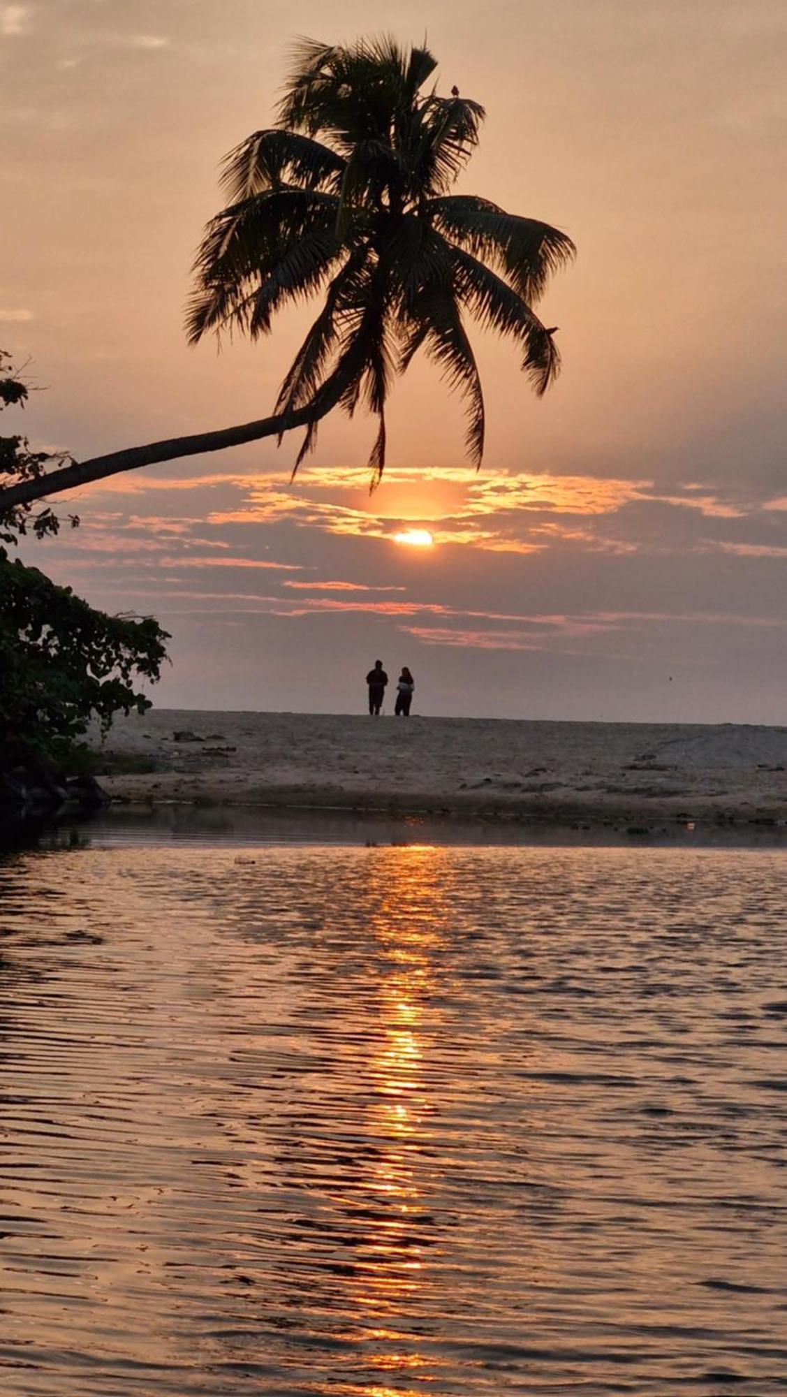 Bed and Breakfast Gypsea Marari Alappuzha Zewnętrze zdjęcie